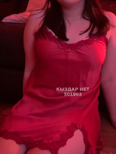 Проститутка Алматы Анкета №501903 Фотография №3769534