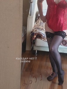 Проститутка Павлодара Девушка№265906 Адина конт 8000 Фотография №3816884