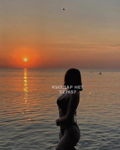 Проститутка Алматы Девушка№527657 Лейла боди Фотография №3975064